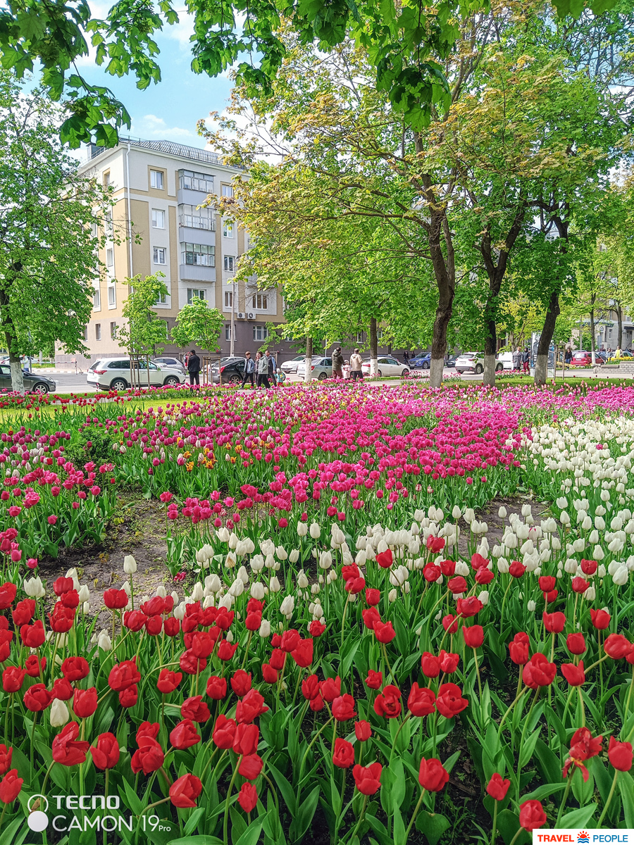 Белгород в цветах