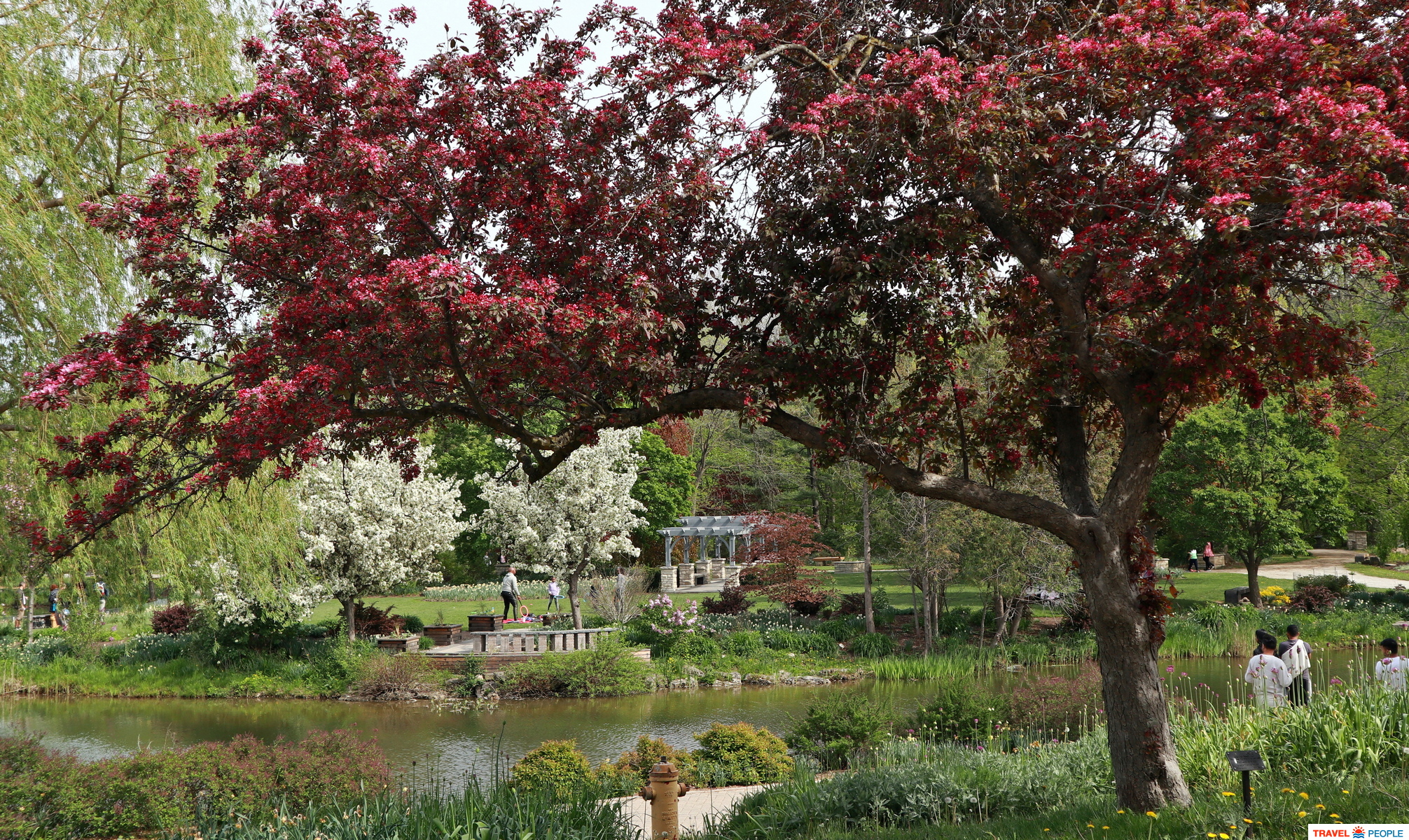 Humber Arboretum