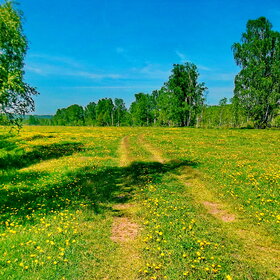 ����. �����������. ������� ������