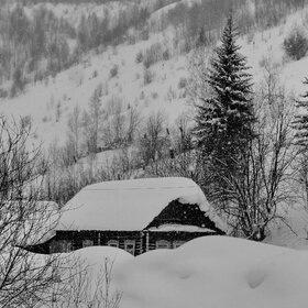 ����. 031117. ������