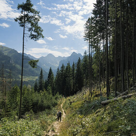 ����. Palenice, Zakopane- Poland