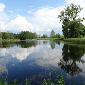 ����. �������. ����