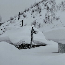 ����. ��������. ��������