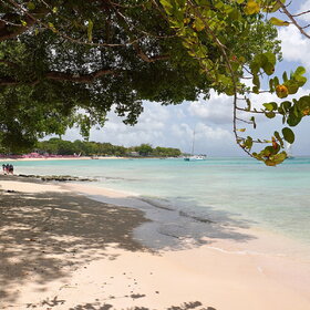 Sandy Lane Beach (1)