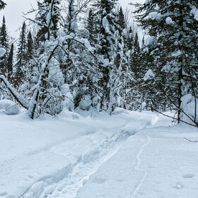 ����. ����. ���������� �����