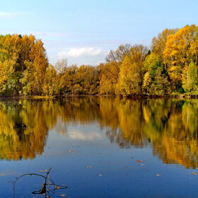 ����. ���������� �����