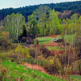 ����. �������. ������� �������