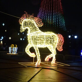 ����������