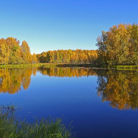 Осеннее лесное озеро