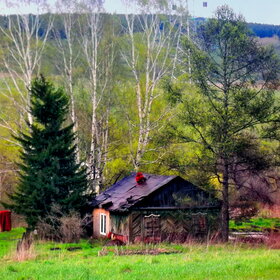 ����. ����������. ������� �������