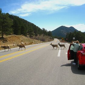 ����. �����������. ������� ������ � ������������ ����� - ��� ���������������� ��������������!