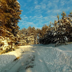 ����. ������ � �������