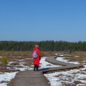 ����. ������. ������������ ������