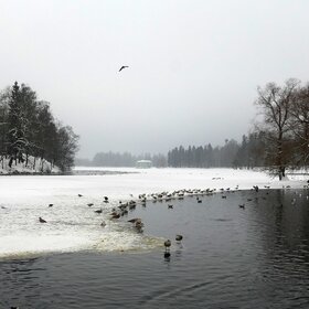 Белое озеро, зима