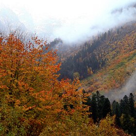 ������ ������.