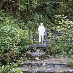 ����. ����� ���. ����� ���, ��������.