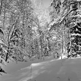 ����. �������. ������ ���