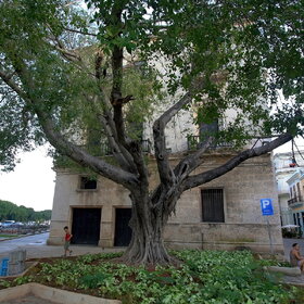 ����. ������