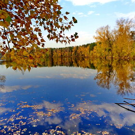 ����. ���������� �����