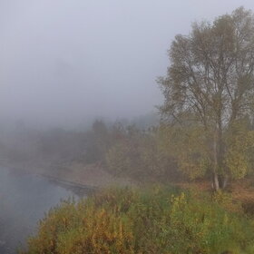 ����. ���������. �����