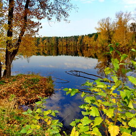 ����. ���������� �����