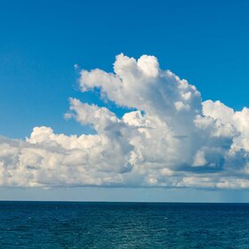 ����. �������� ������ ��� �����