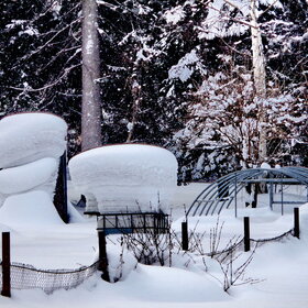 ����. 080226. ��������