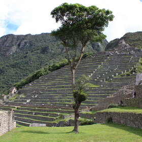 ����. ����������. ��������� ������ ���� �����