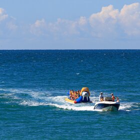 ����. �����������. ������ ����� �� ������ ����