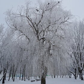 ����. ������