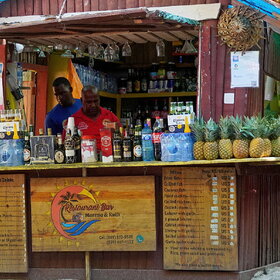 ����. Pina-colada. �������