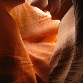 ����. �������. �������� � ������������ ������ ��������.