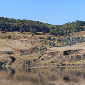 ����. ��������� �������� �����