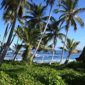 ����. � ������