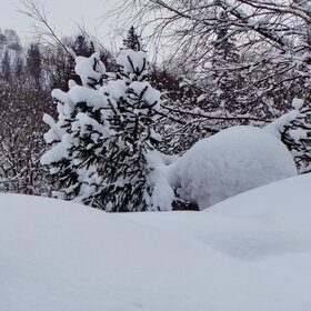 ����. 080226 �. ����-��� ������� �����