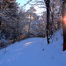 ����. �����������. �������� ����.