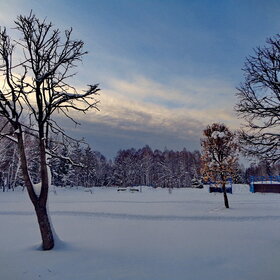 ����. 151225. �.������������,  ����