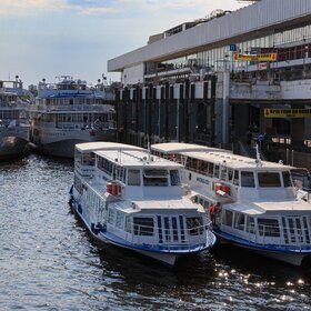 ����. ������. ������ ����.