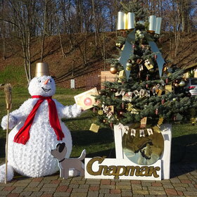 ����. ����������. ������