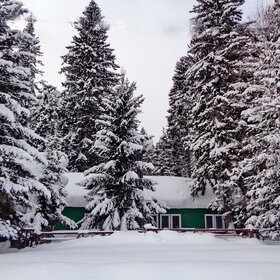 ����. �.����������