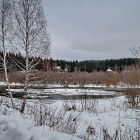 ����. ������. ���� �����