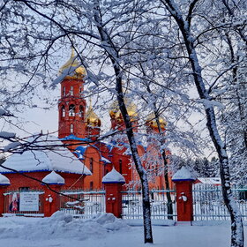 ����. �������. ���� ��