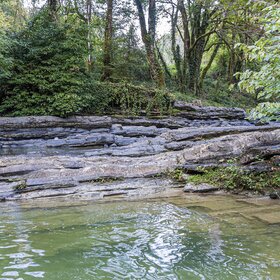 ����. �������. ���� ����� (������)