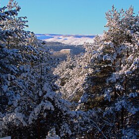 ����������, ����, ����.