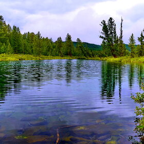 ����. �����. ����� ����������