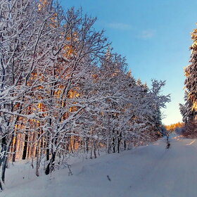 ����. 101118. ������ �� �������