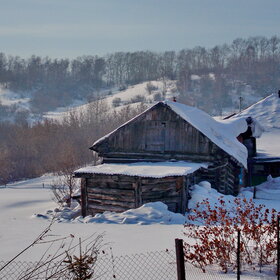 ����. �.������