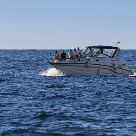 ��������� ��������� ��������