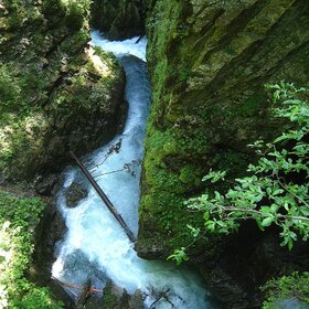 ����. �����������. ����� ������ ������ ������, ������.