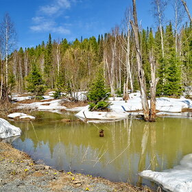 ����. �.���